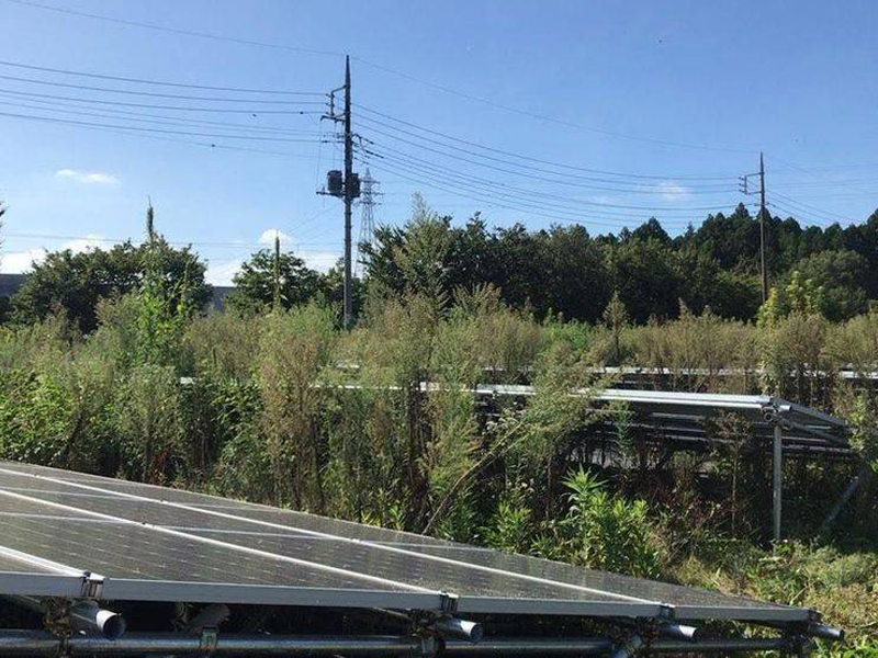 年間除草で格安管理